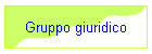 Gruppo giuridico