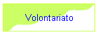 Volontariato