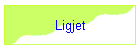 Ligjet