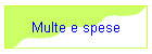 Multe e spese